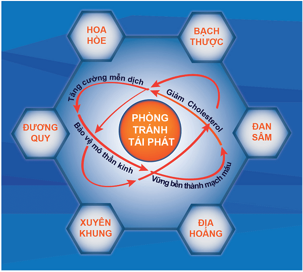 chi tiet thanh phan 2